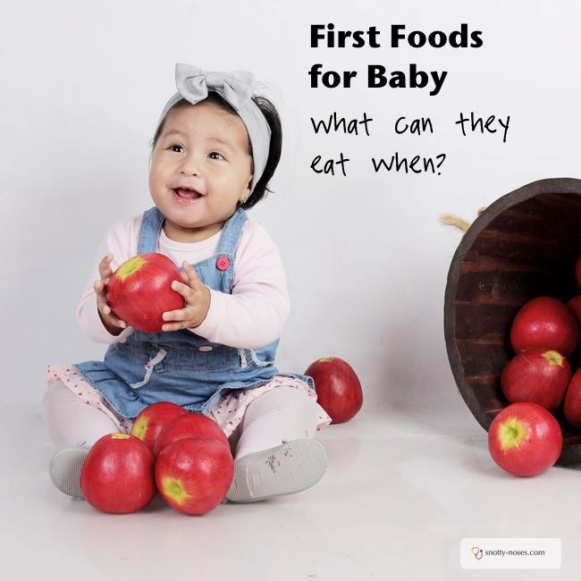 First Foods for Baby. What foods can I give my baby and when?
