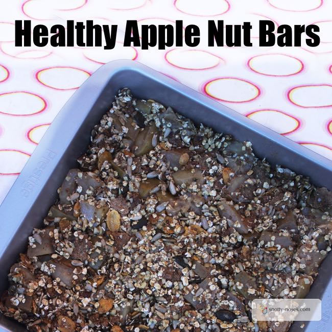 Healthy Apple Spice Nut Bars