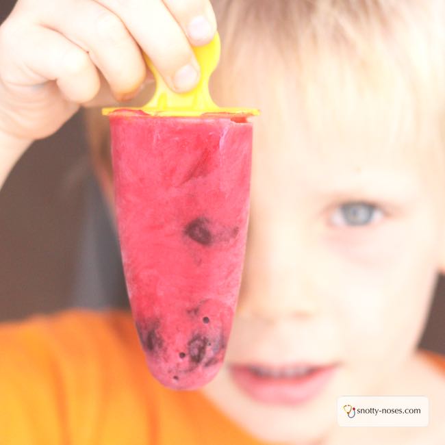 Plum Popsicle Recipe. Quick, easy and healthy