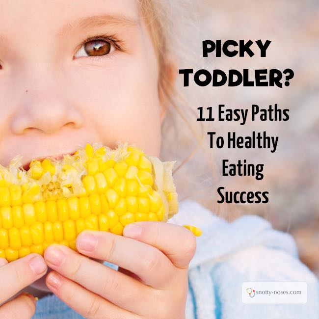 Help! My toddler won't eat! 10 Great Tips to Transform your Toddler into a Healthy Eater