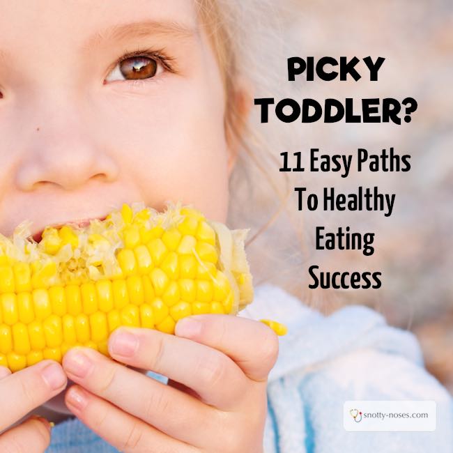 Help! My toddler won't eat! 10 Great Tips to Transform your Toddler into a Healthy Eater