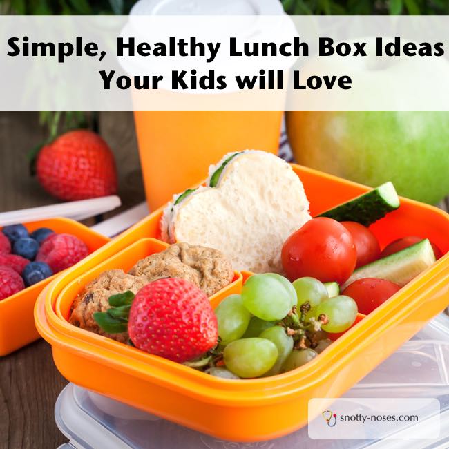 Simple Healthy Lunch Box Ideas that your Kids will Love. Healthy doesn't have to be complicated!