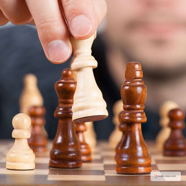 10 Amazing Benefits of Playing Chess with Your Kids. Have you ever thought about playing chess with your kids? It's great fun AND it's great for those little brains as well.