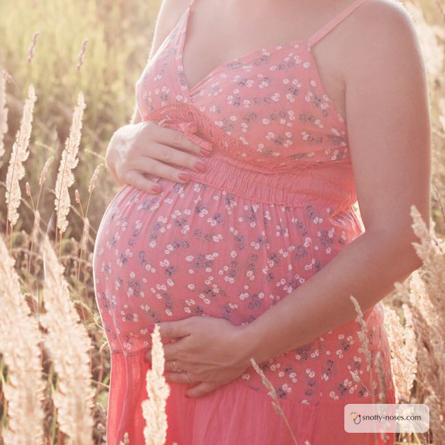 The Art of Loving Your Pregnancy. Are you like I was and longing to 