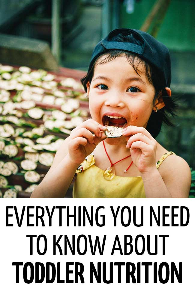 A toddler eating a piece of cucumber. Everything you need to know about toddler nutrition!
