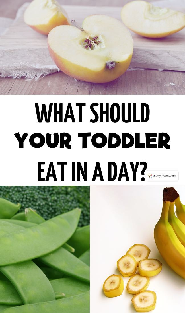 What should your toddler eat in a week? A break down of toddler nutrition by a pediatric doctor. Great cheat sheet to download.