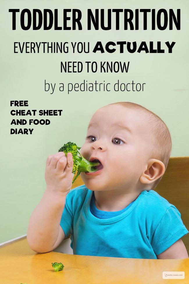 Toddler Nutrition. Everything you actually need to know. Written by a pediatric doctor.