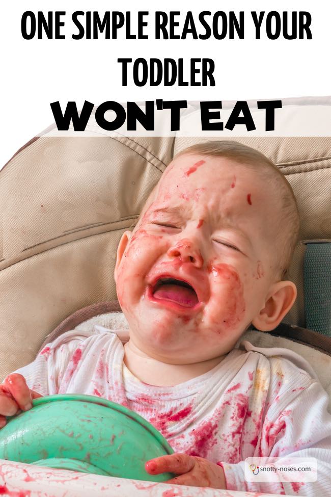 One Simple Reason Your Toddler Won't Eat