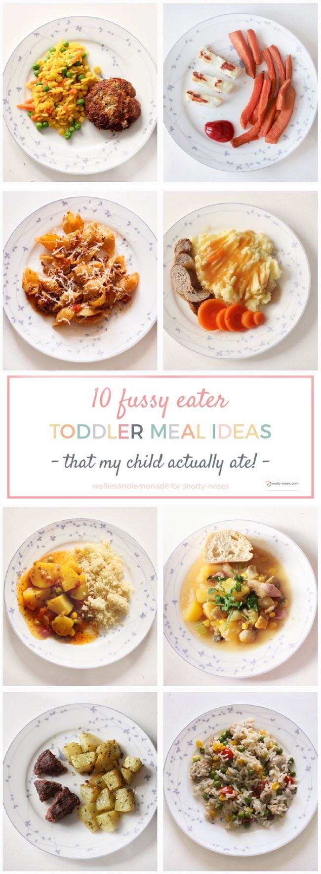 Picky Toddler Meal Ideas