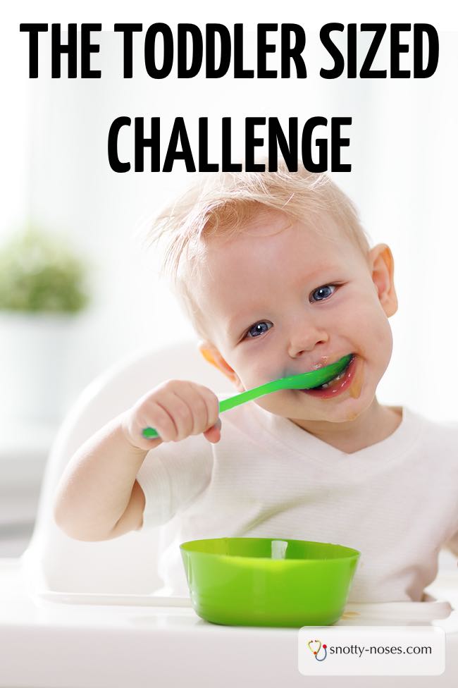 Enter the Toddler Sized Challenge to come up with a great tool to help parents feed their toddler a healthy and balanced diet. Win £1000!